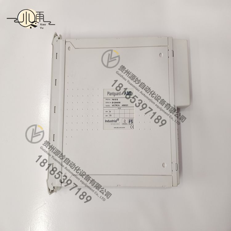 P8151B(2).jpg