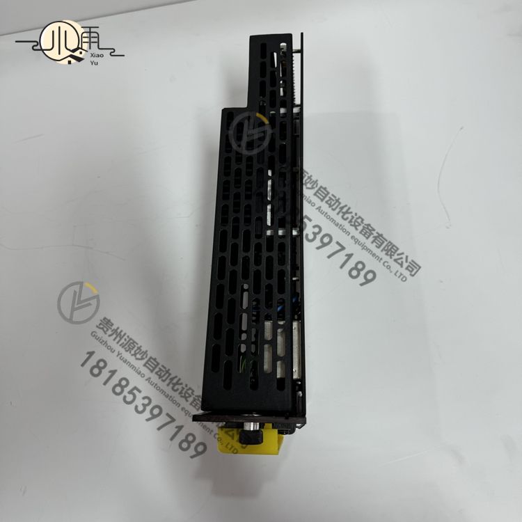 Triconex 8305A (5).jpg