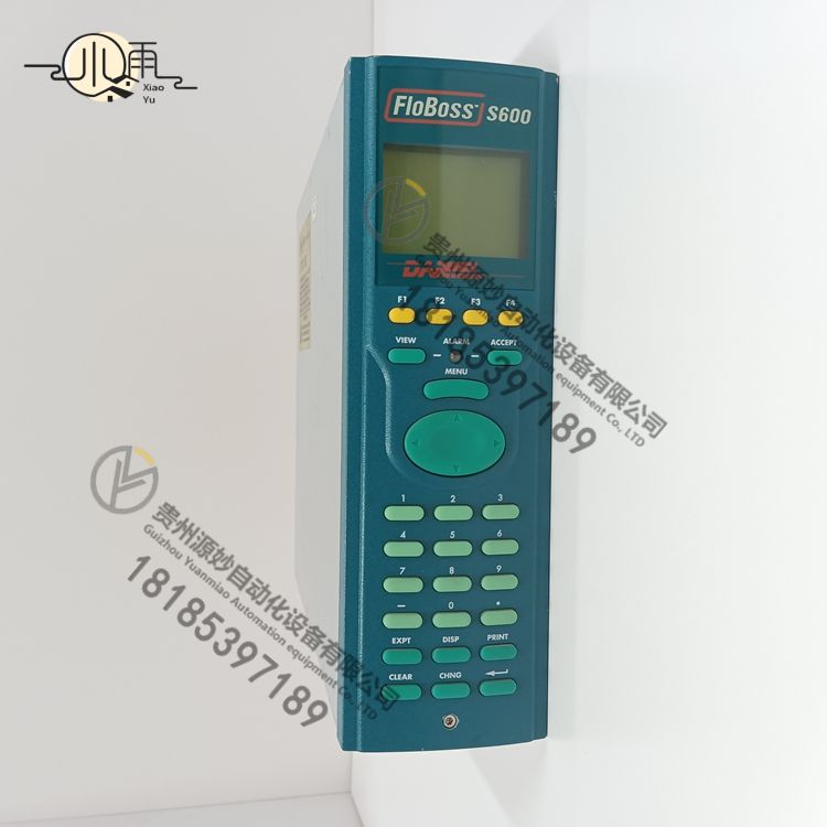 Emerson FLOBOSS S600 (1).jpg