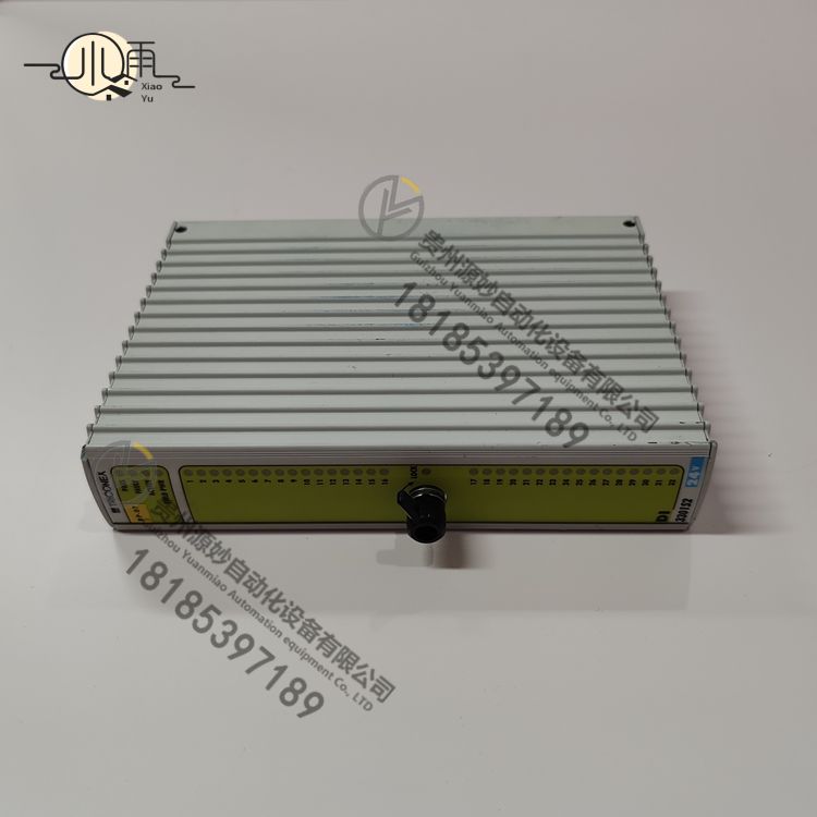 TRICONEX DI3301S2 (5).jpg