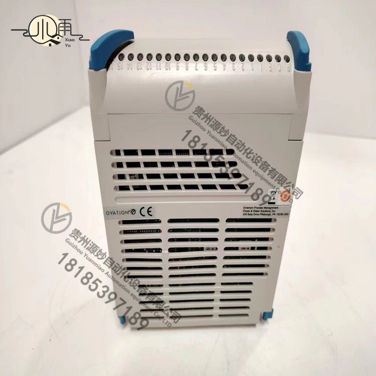 EMERSON 1C31113G01(2).jpg