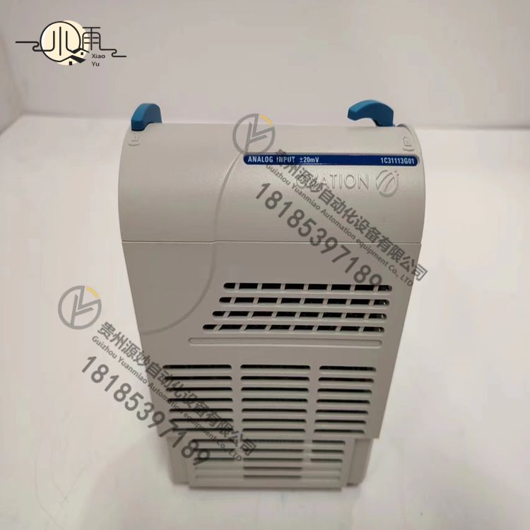 EMERSON 1C31113G01(1).jpg