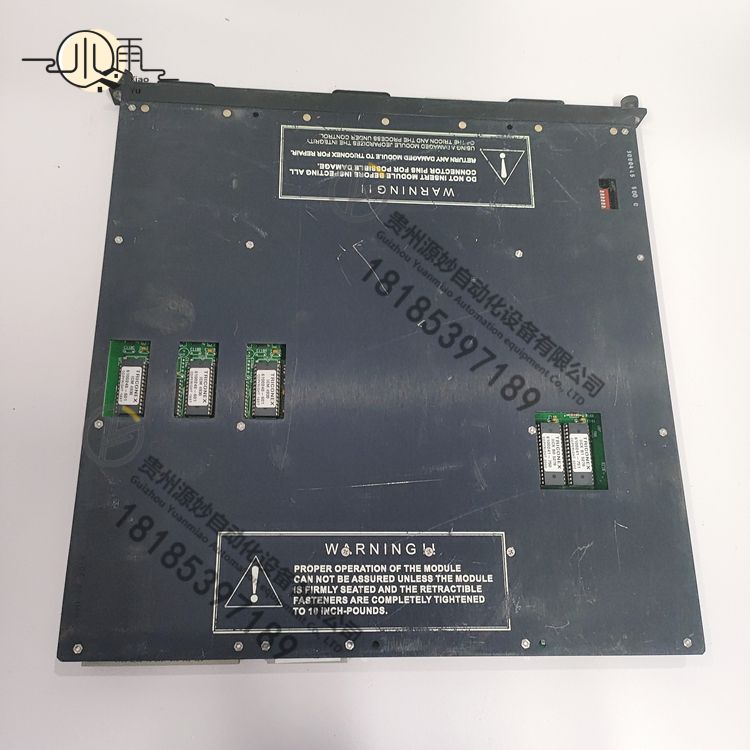TRICONEX 4119A (2).jpg
