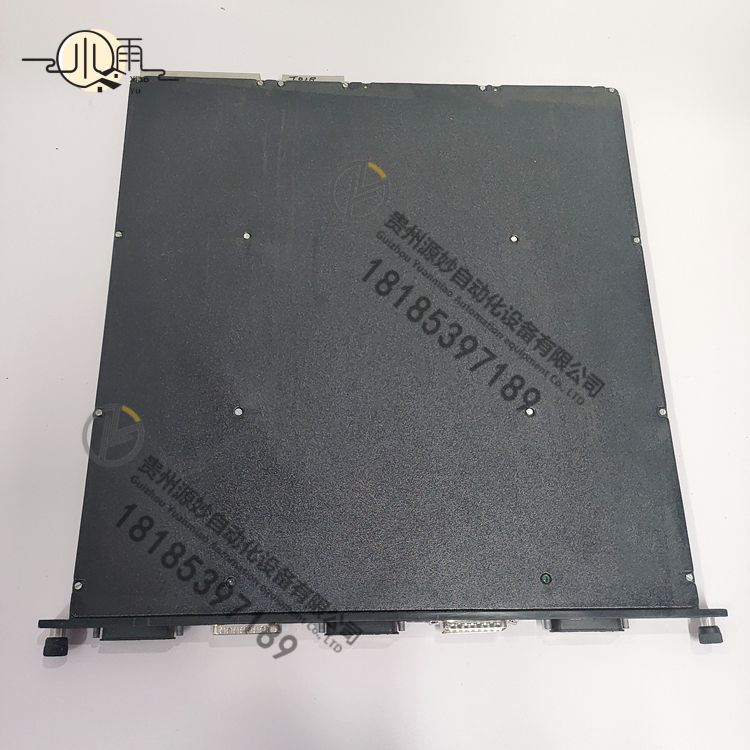 TRICONEX 4119A (1).jpg