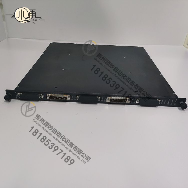 TRICONEX 4119A.jpg