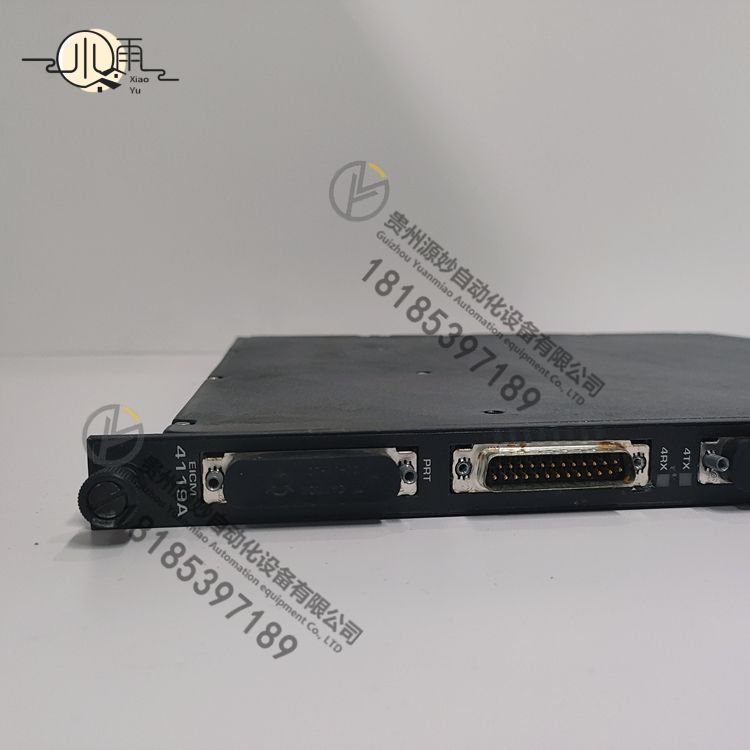 TRICONEX 4119A (4).jpg